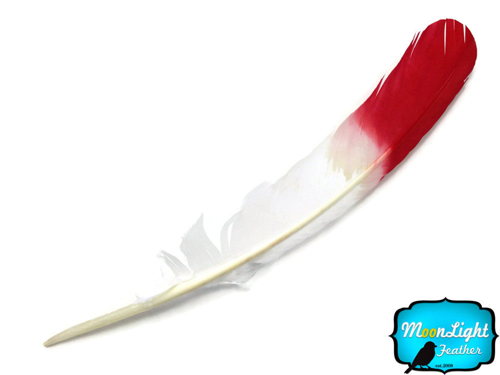 1/4 Lb - Red Dipped "Imitation Eagle" Turkey Tom Rounds Secondary Wing Quill Wholesale Feathers (Bulk)