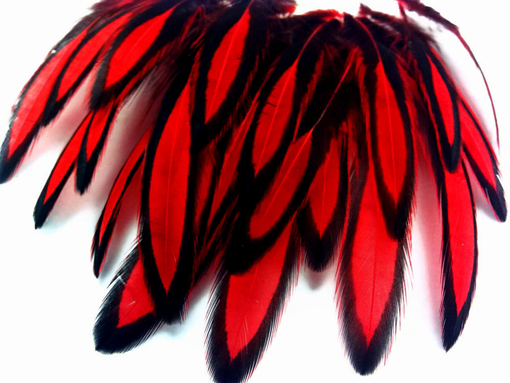 1 Dozen - Red Whiting Farms BLW Laced Hen Cape Loose Feathers