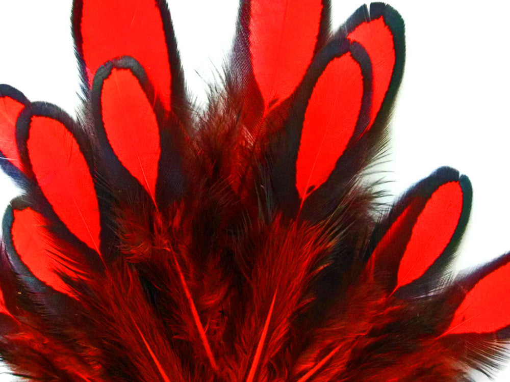 1 Dozen - Red Whiting Farms Laced Hen Saddle Feathers