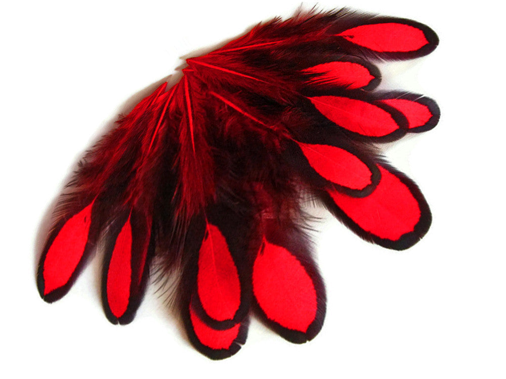 1 Dozen - Red Whiting Farms Laced Hen Saddle Feathers