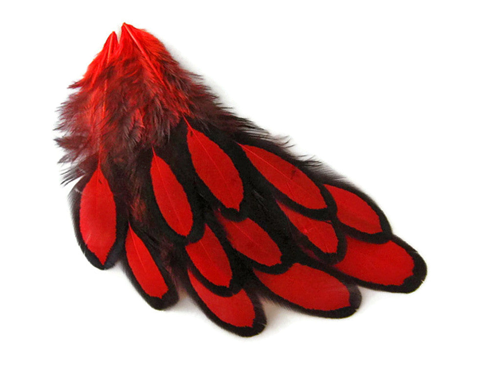 1 Dozen - Red Whiting Farms Laced Hen Saddle Feathers