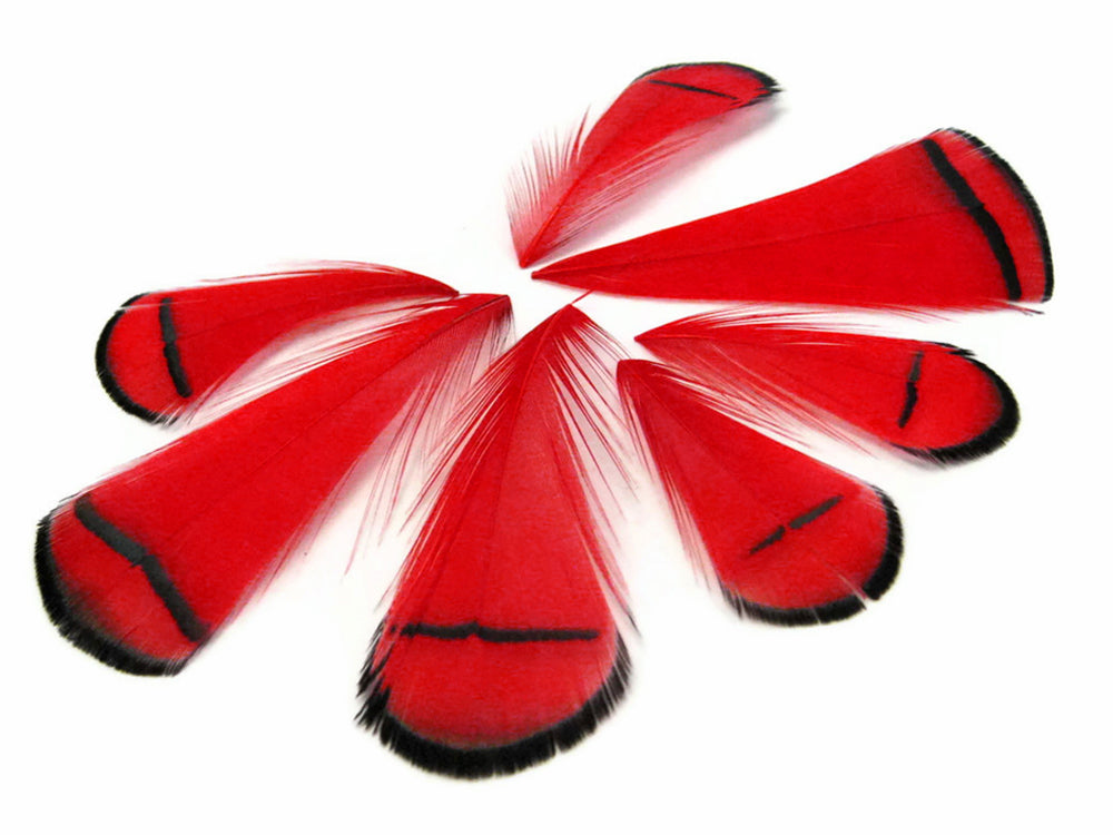 1 Dozen - Dyed Red Lady Amherst Pheasant Tippet Feathers