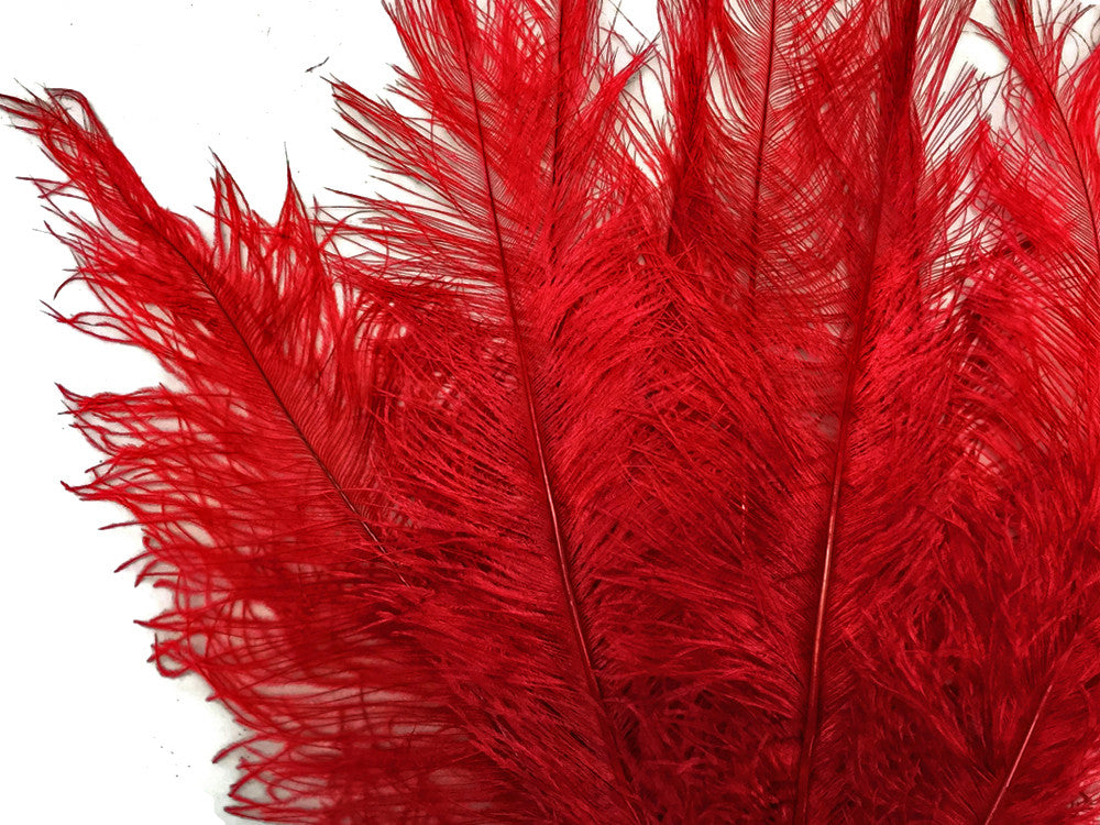 10 Pieces - 20-28" Red Ostrich Spads Large Wing Feathers