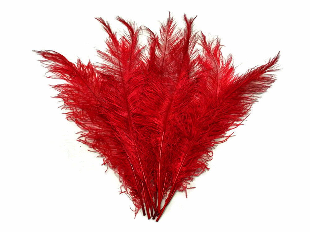 10 Pieces - 20-28" Red Ostrich Spads Large Wing Feathers