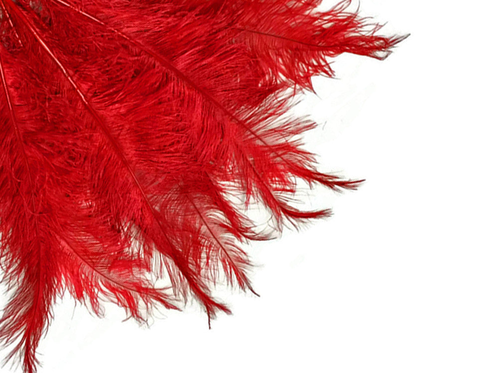 1/2 Lb - Red Large Ostrich Spads Wholesale Feathers 20-28" (Bulk)