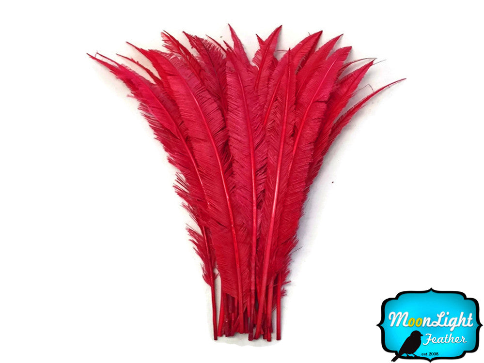 5 Pieces - Red Long Ostrich Nandu Trimmed Feathers