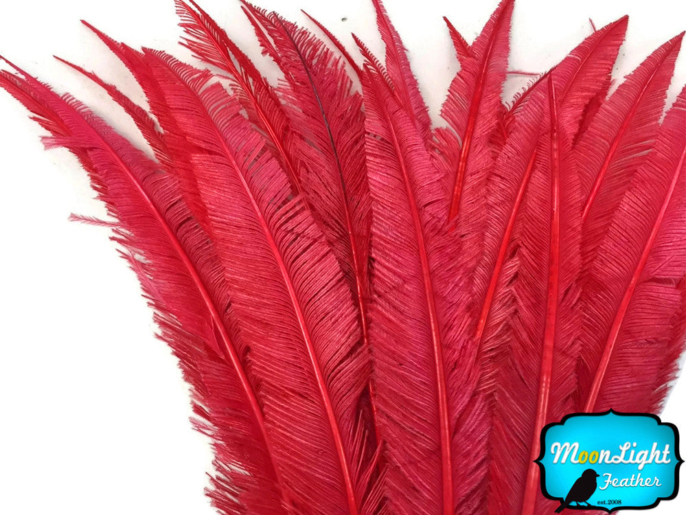 5 Pieces - Red Long Ostrich Nandu Trimmed Feathers