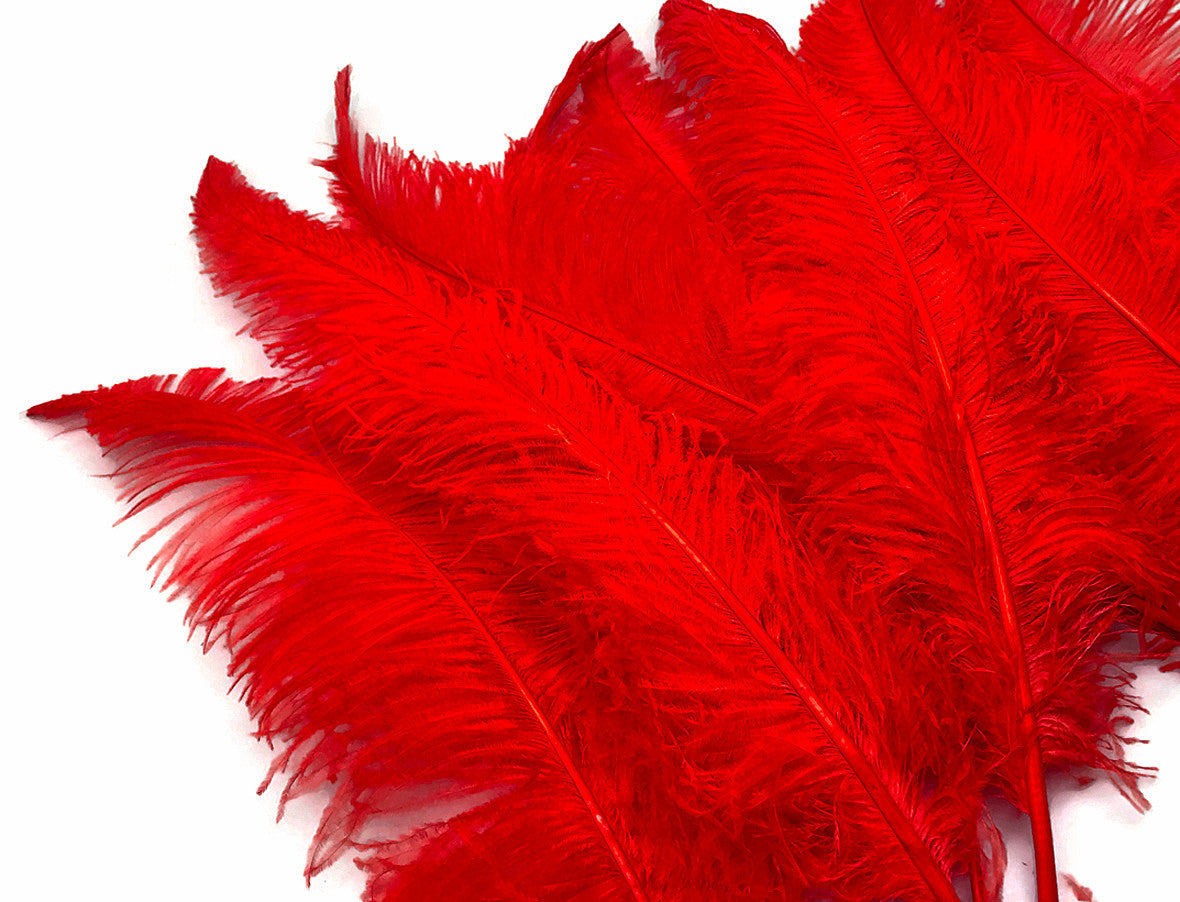 10 Pieces - 20-28" Red Ostrich Spads Large Wing Feathers