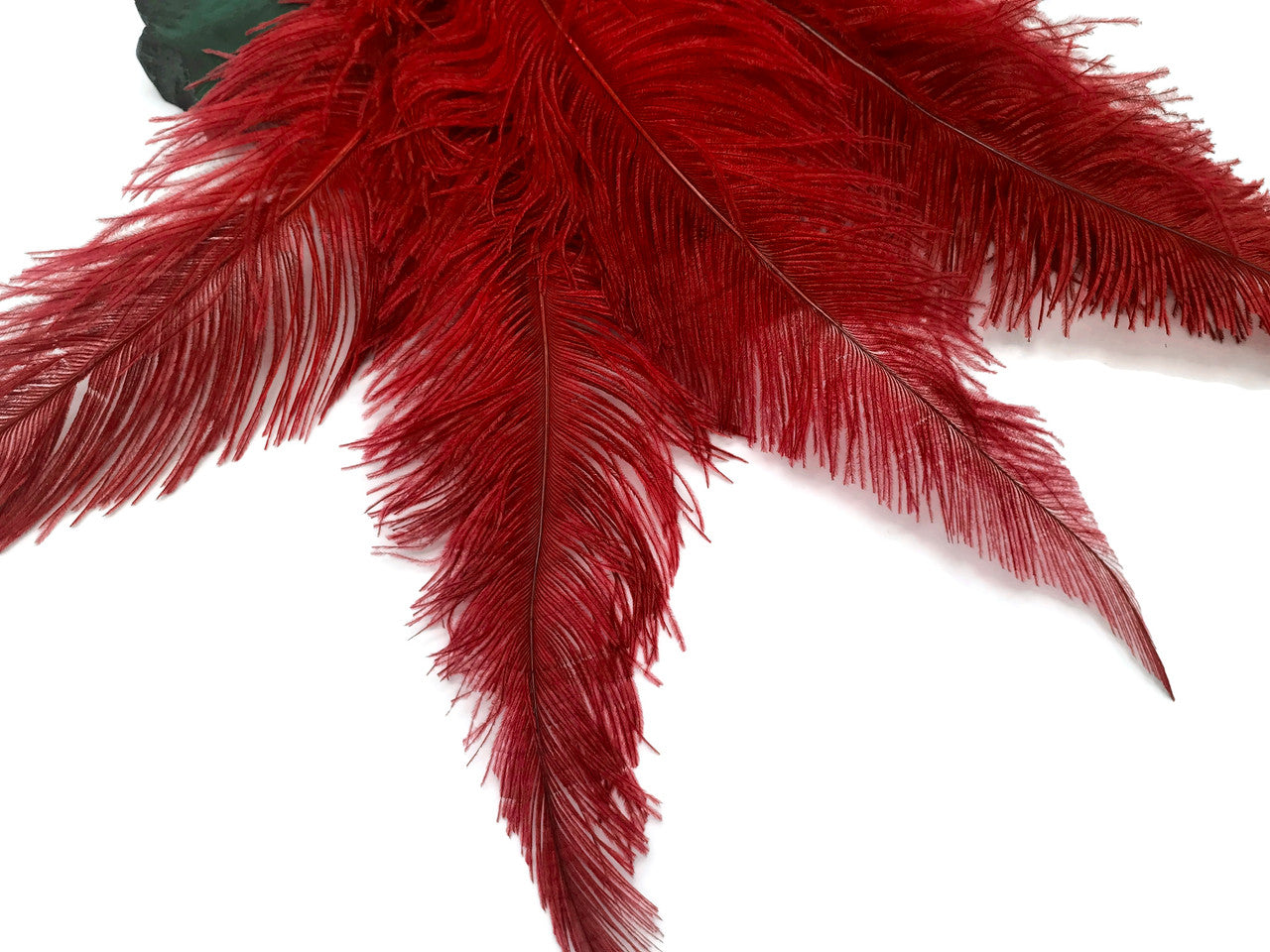 10 Pieces - 20-28" Red Ostrich Spads Large Wing Feathers