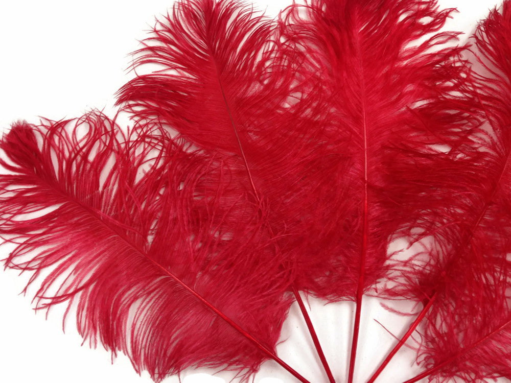 10 Pieces -  12-16" Red Dyed Ostrich Tail Fancy Feathers