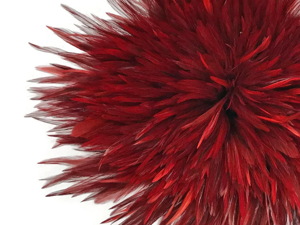 1 Yard - 6-7" Red Dyed Over Natural Strung Chinese Rooster Saddle Wholesale Feathers (Bulk) 