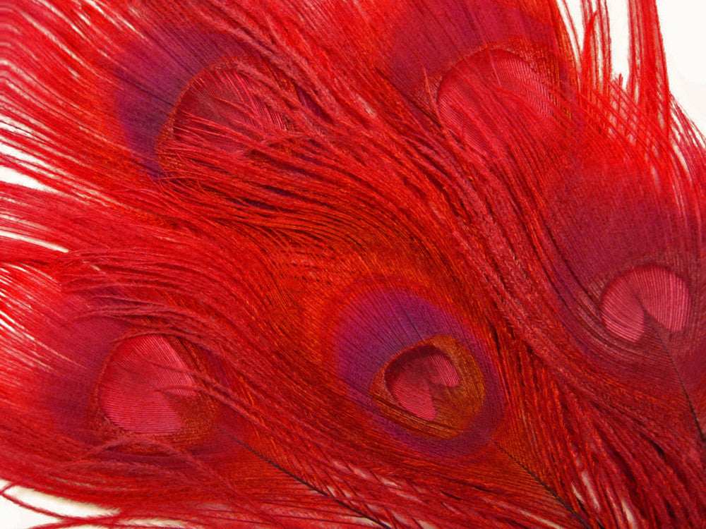 50 Pieces – Red Bleached & Dyed Peacock Tail Eye Wholesale Feathers (Bulk) 10-12” Long 