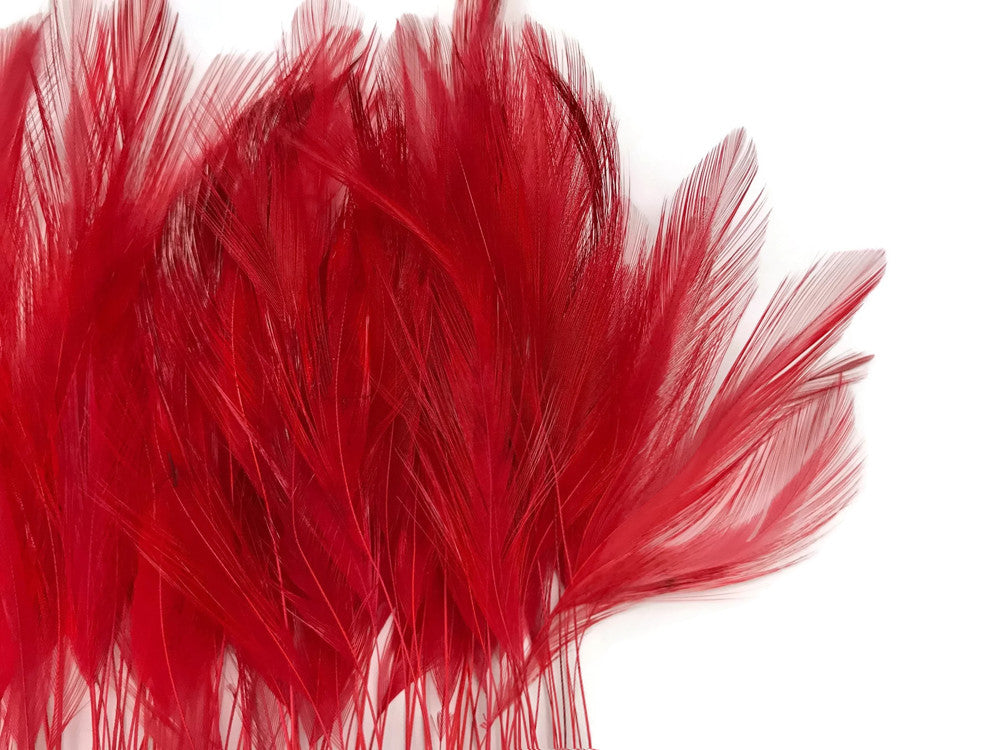 1 Dozen - Red Stripped Rooster Hackle Feather