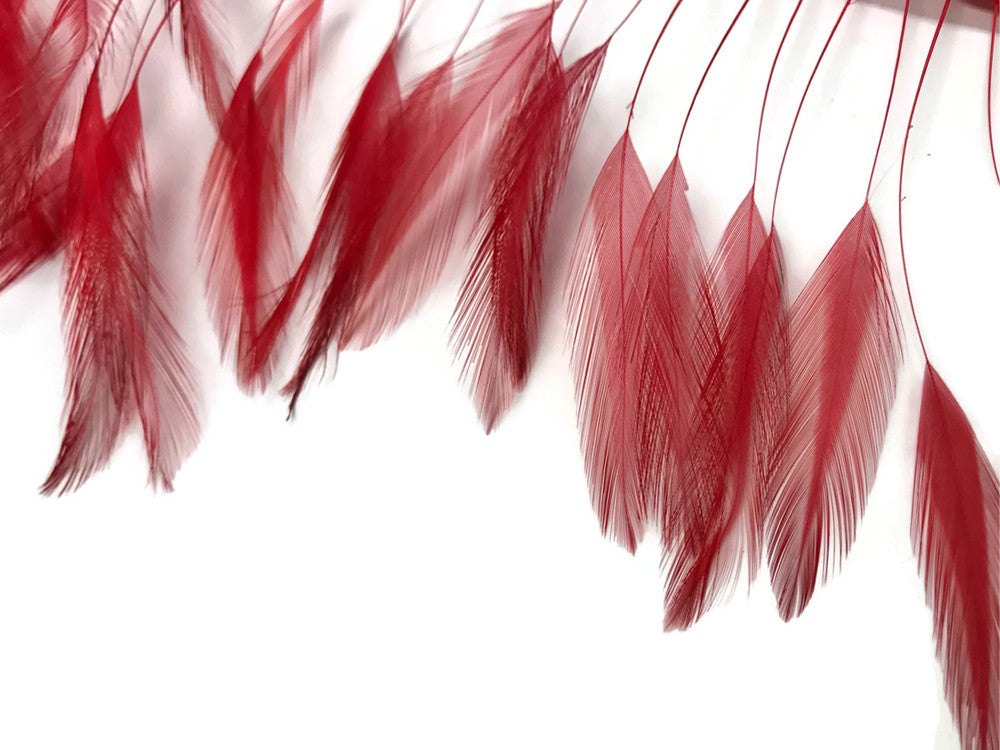 1 Dozen - Red Stripped Rooster Hackle Feather