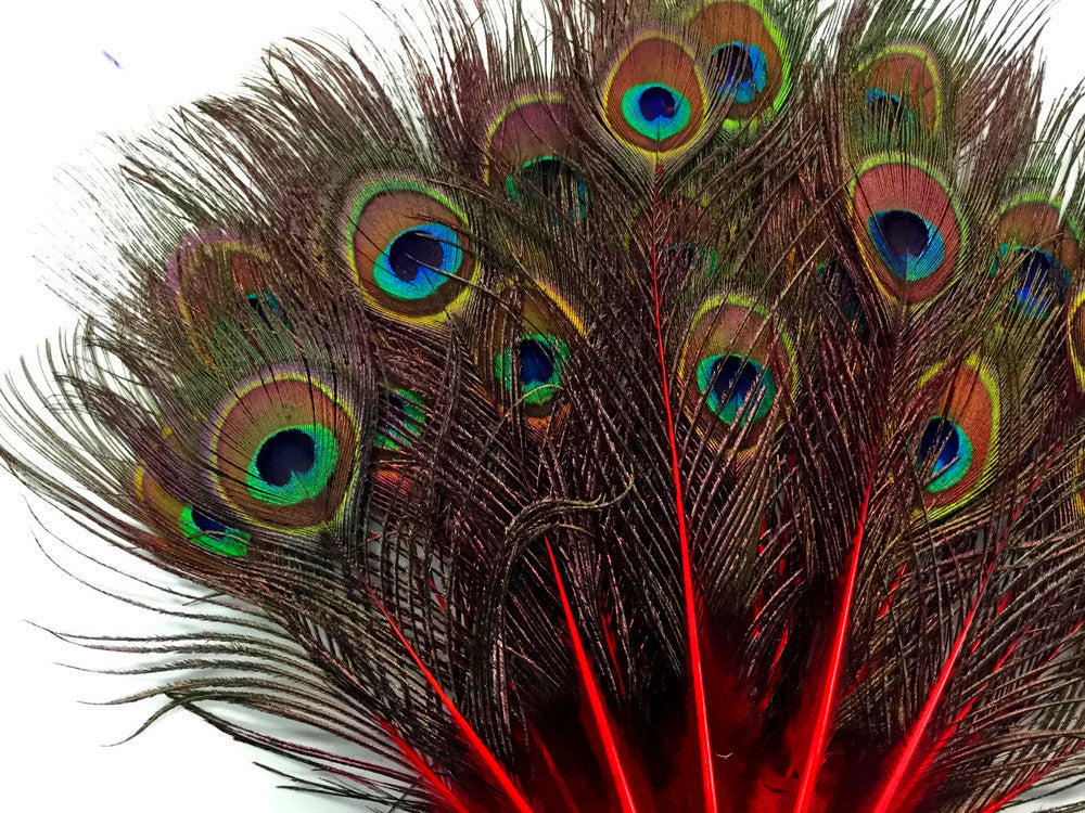 10 Pieces - Red Mini Natural Peacock Tail Body Feathers With Eyes