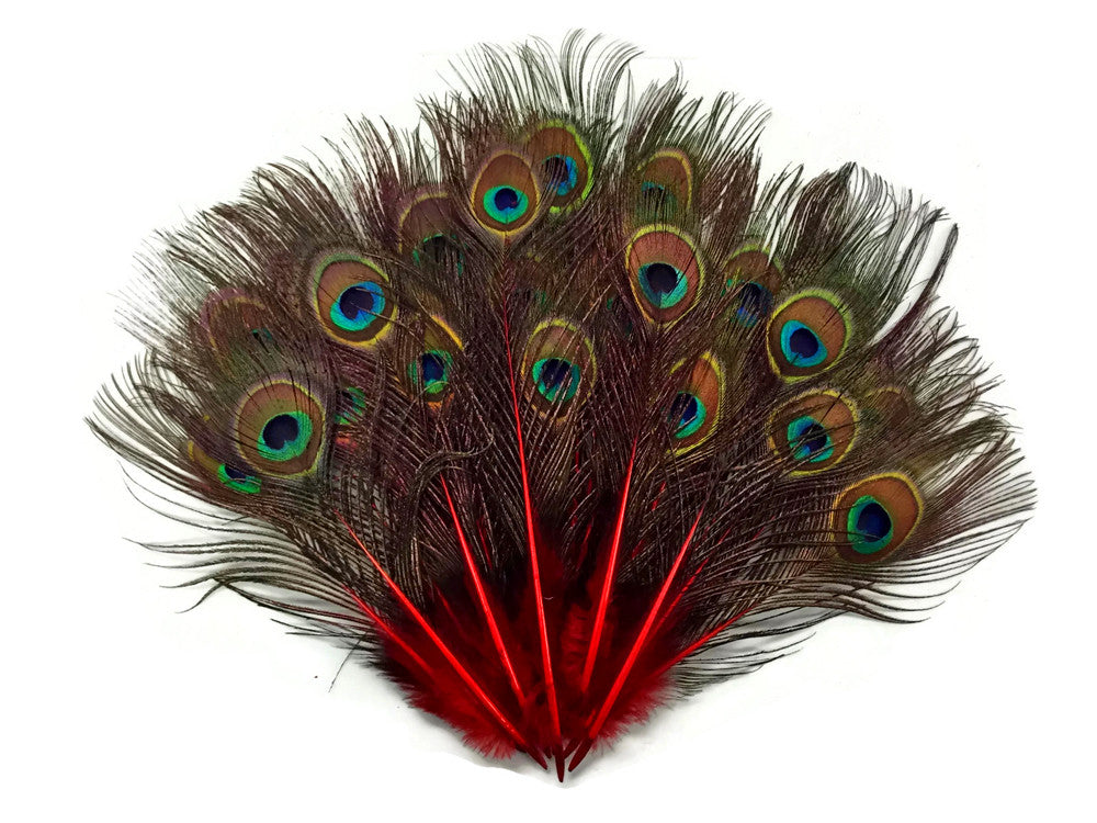 10 Pieces - Red Mini Natural Peacock Tail Body Feathers With Eyes