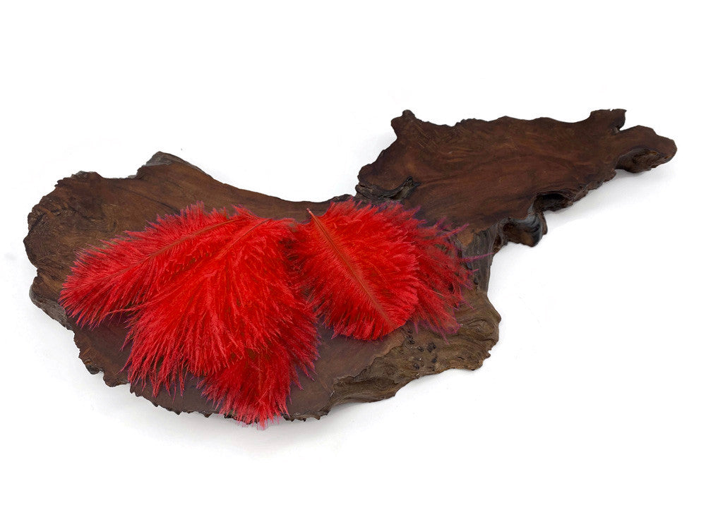 1 Pack - Red Ostrich Small Confetti Feathers 0.3 Oz