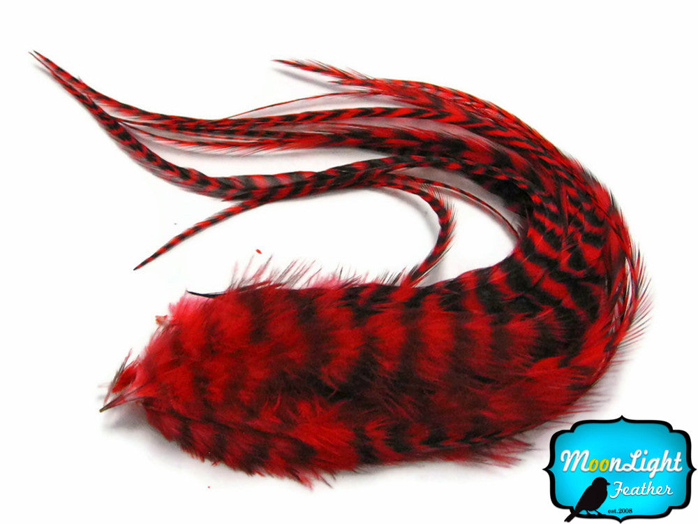 6 Pieces - XL Red Grizzly Thick Extra Long Rooster Hair Extension Feathers