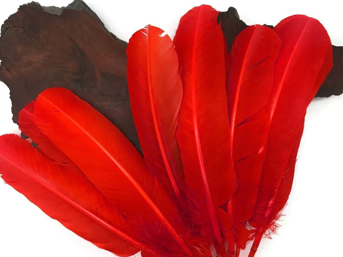Vibrant red craft feathers arranged on a dark rustic wood background.