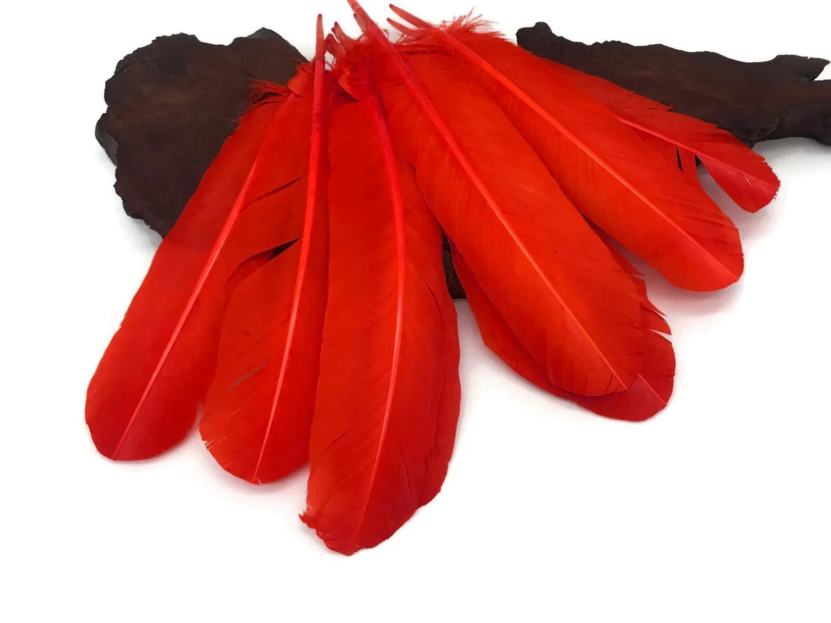 Vibrant red craft feathers displayed on a dark wood base for DIY fashion and decor.
