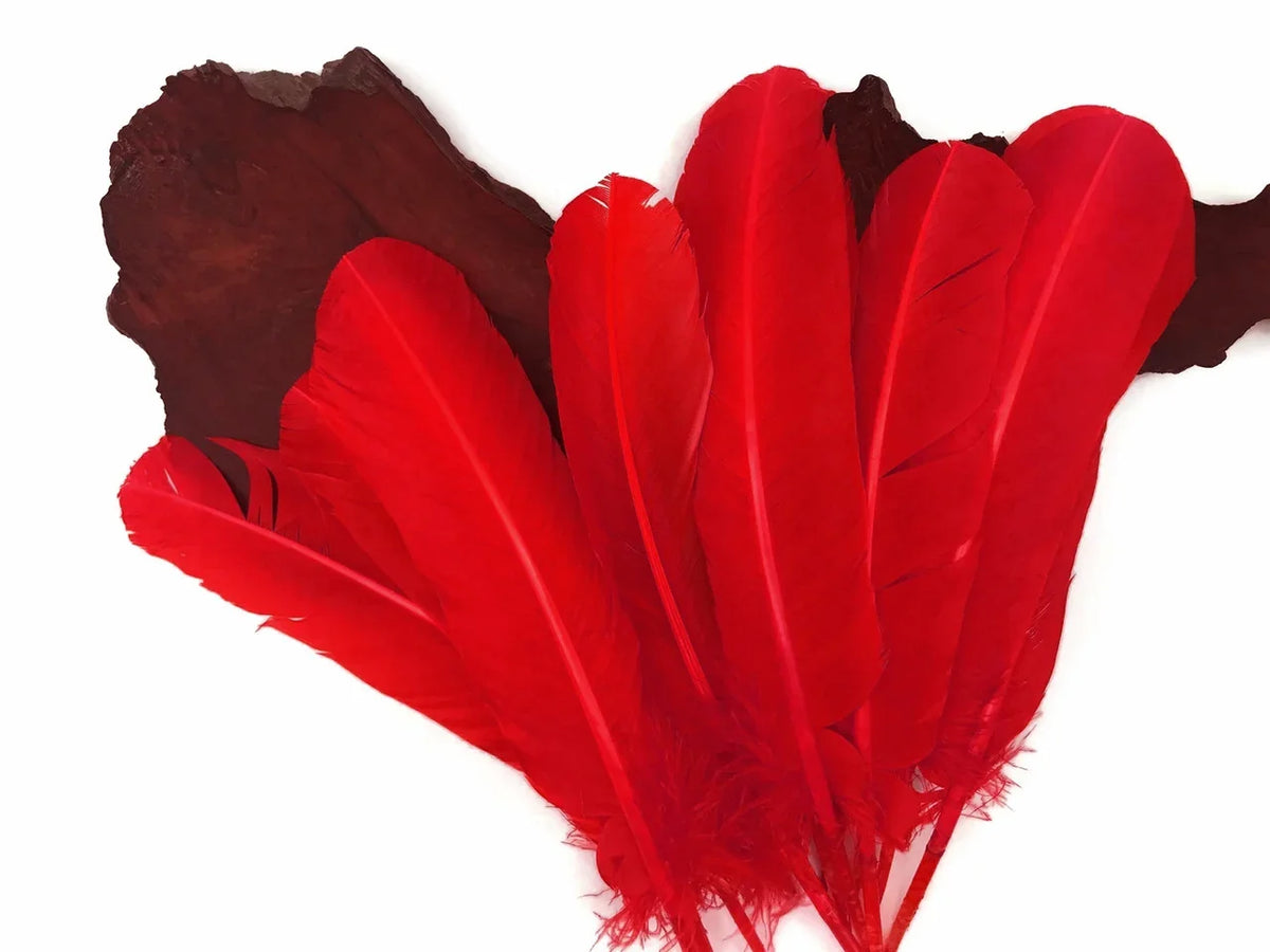 Vibrant red craft feathers arranged on a dark wood slice background.