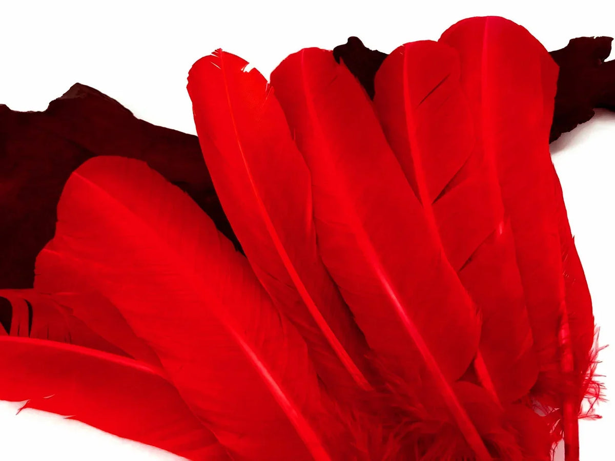 Vibrant red craft feathers for DIY fashion and décor accessories