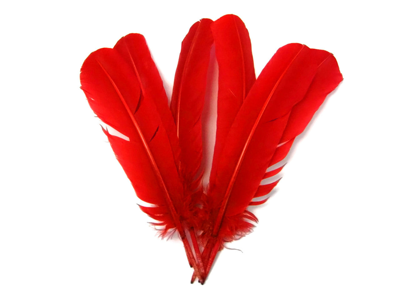 Wing Feathers, 1 Lb - Hot Pink Turkey Rounds buying Wing Quill Wholesale Feathers (Bulk) Halloween Craft Supplier : 4933