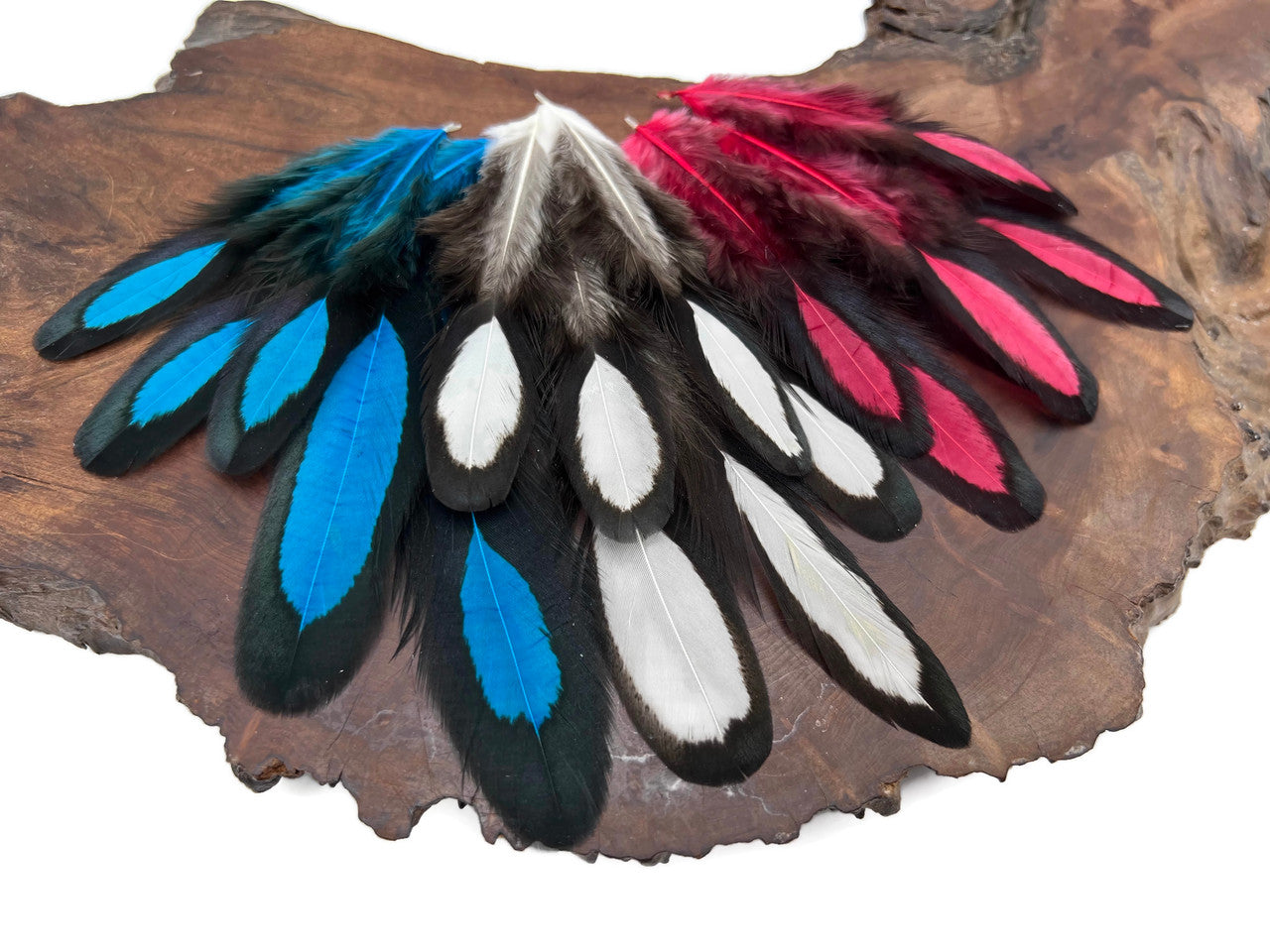 30 Pieces - Red, White, Blue Mix Whiting Farms Laced Hen Saddle Feathers