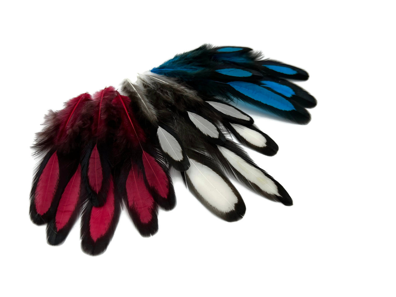 30 Pieces - Red, White, Blue Mix Whiting Farms Laced Hen Saddle Feathers