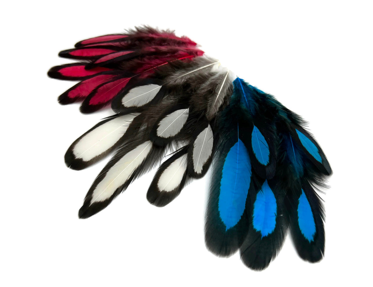 30 Pieces - Red, White, Blue Mix Whiting Farms Laced Hen Saddle Feathers