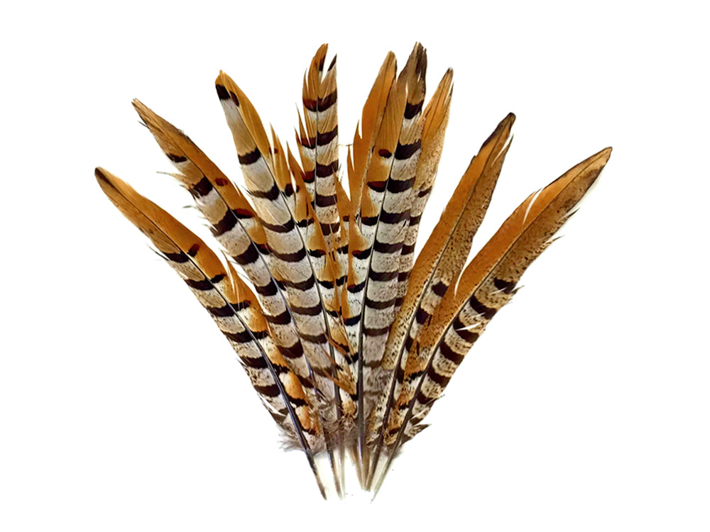 10 Pieces - 14-16" Natural Brown Reeves Venery Pheasant Tail Feathers
