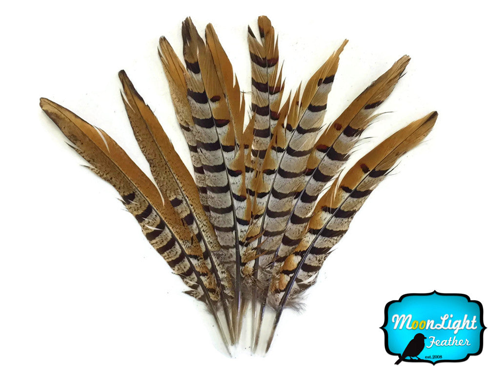 10 Pieces - 10-12" Natural Reeves Venery Pheasant Tail Feathers