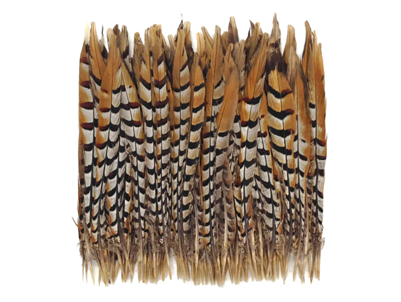 10 Pieces - 18-20" Natural Brown Reeves Venery Pheasant Tail Feathers