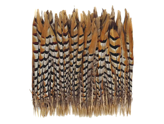 50 Pieces - 12-14" Natural Brown Reeves Venery Pheasant Tail Wholesale Feathers (Bulk)