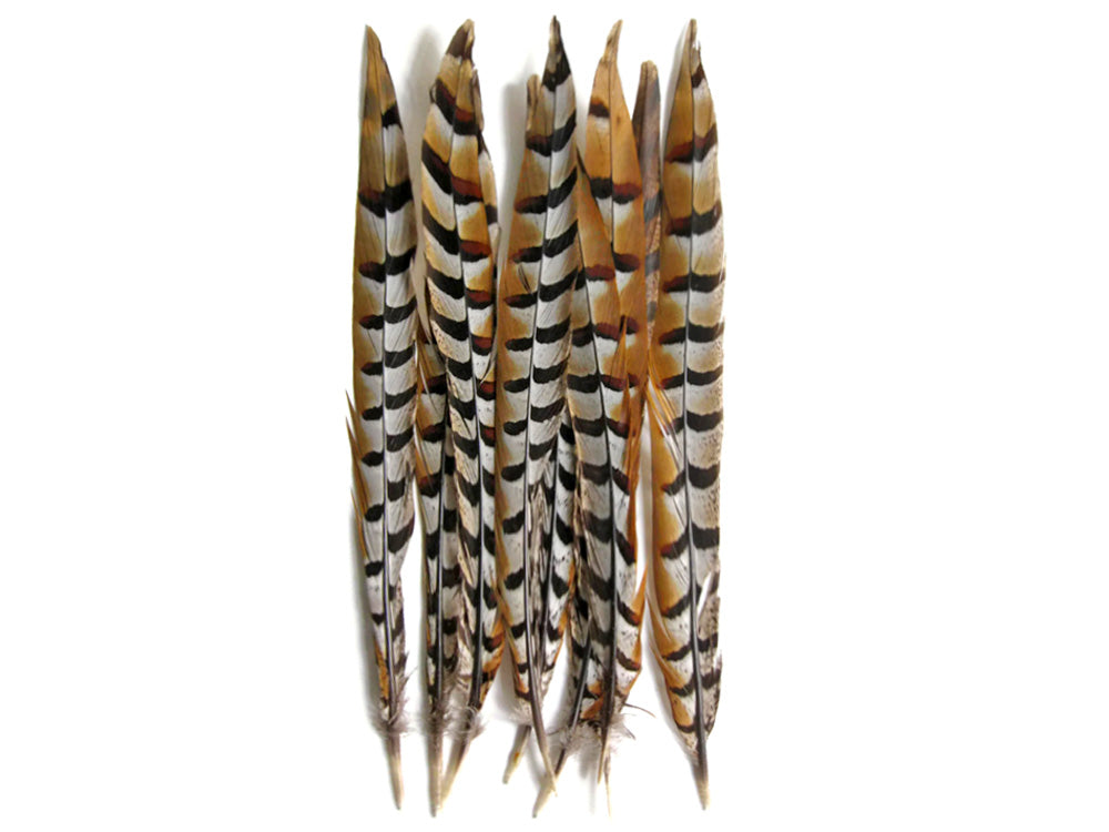 10 Pieces - 18-20" Natural Brown Reeves Venery Pheasant Tail Feathers