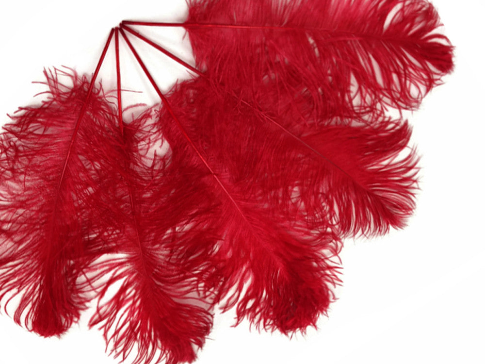 10 Pieces -  12-16" Red Dyed Ostrich Tail Fancy Feathers