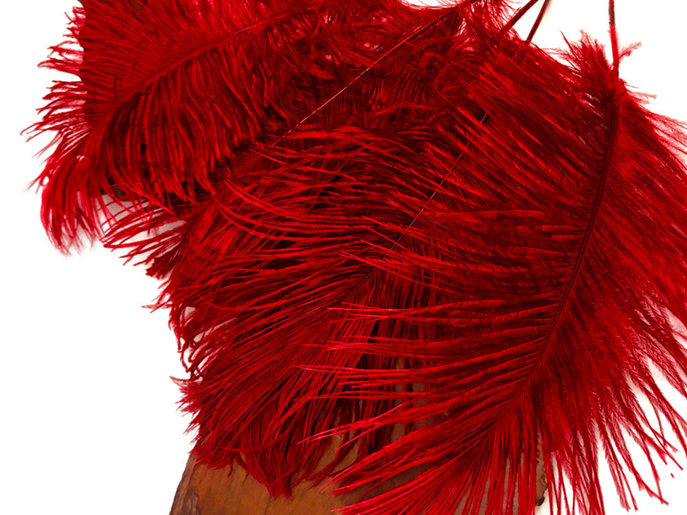 10 Pieces -  12-16" Red Dyed Ostrich Tail Fancy Feathers