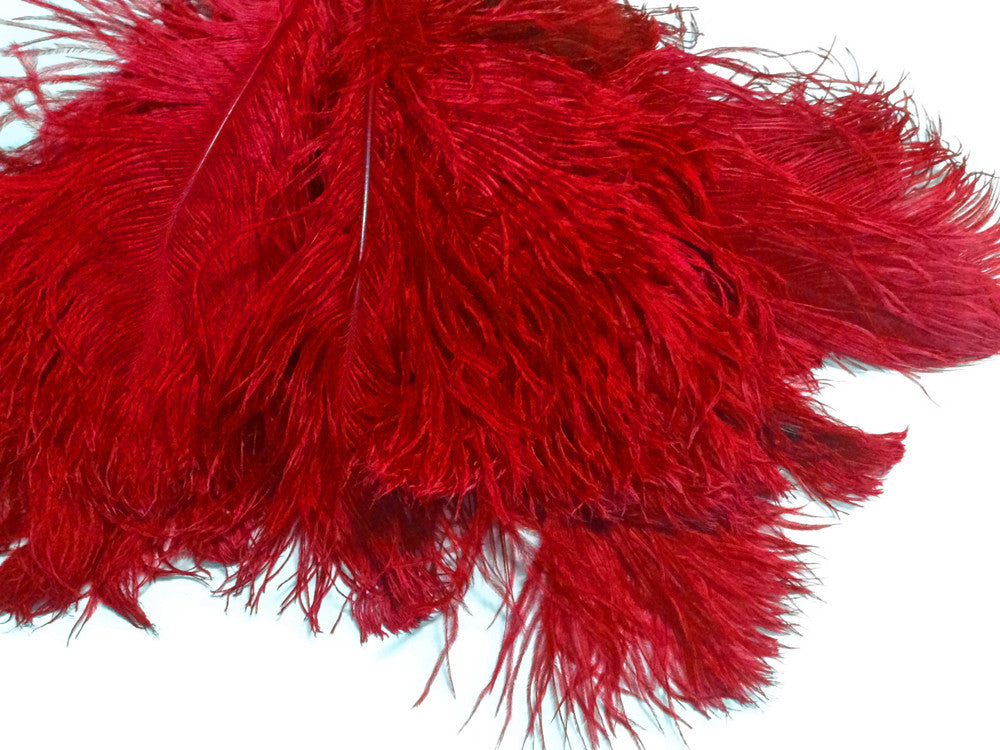 10 Pieces -  12-16" Red Dyed Ostrich Tail Fancy Feathers