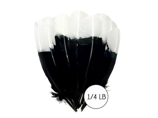 1/4 lbs. - White Tipped Tom Turkey Rounds Black "Imitation Eagle" Wholesale Feathers (Bulk)