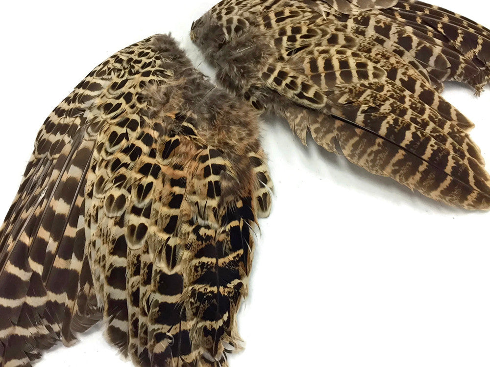 1 Pair - Natural Ringneck Pheasant Hen Whole Wing Feather Set (Left and Right)