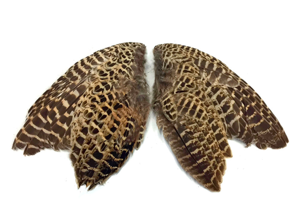 1 Pair - Natural Ringneck Pheasant Hen Whole Wing Feather Set (Left and Right)