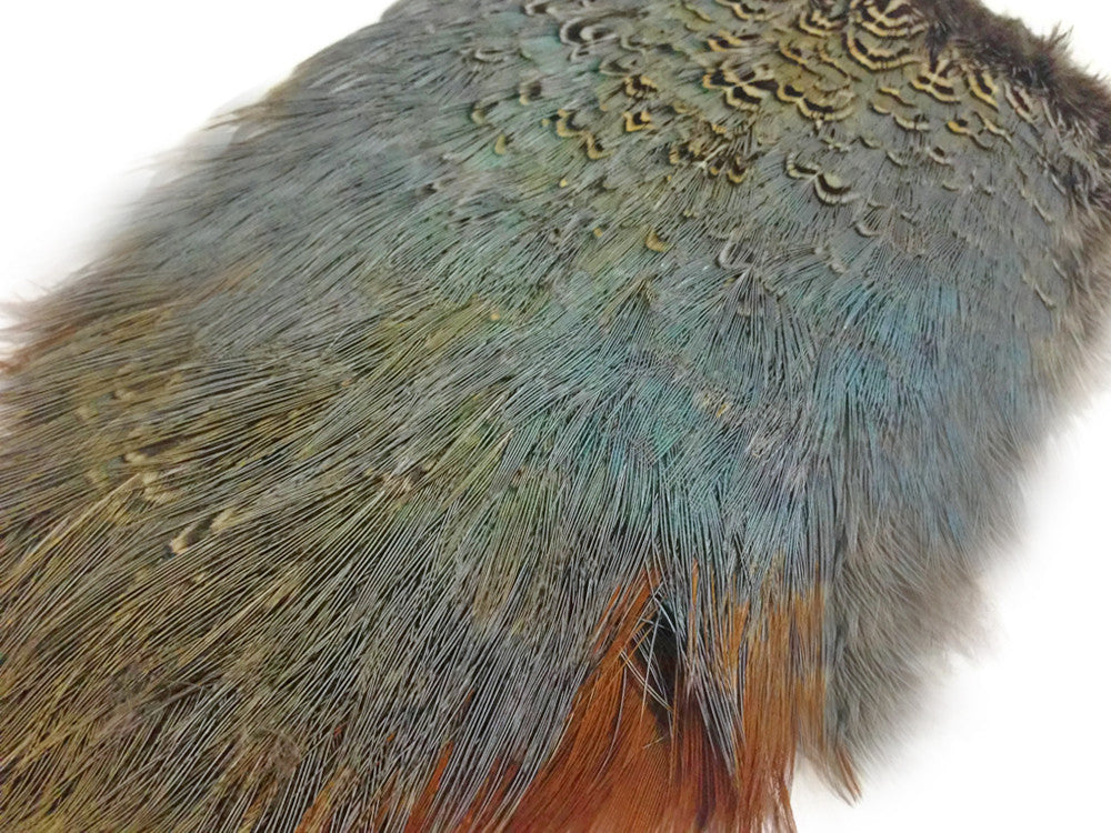 1 Piece - Natural Ringneck Pheasant Complete Rump Patch Feather Pelt