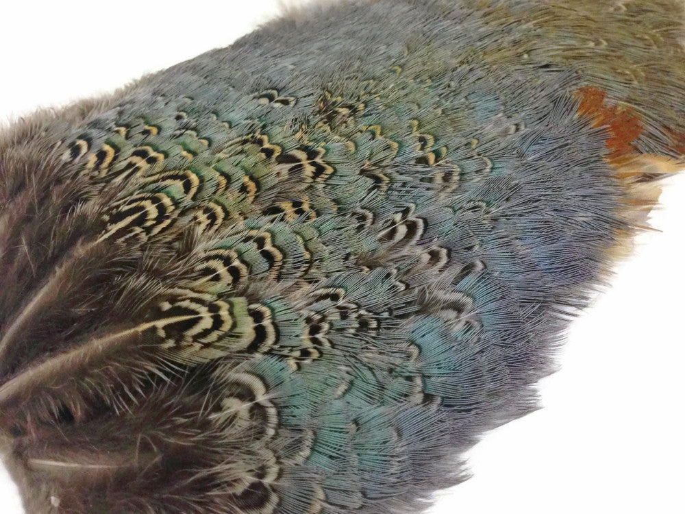 1 Piece - Natural Ringneck Pheasant Complete Rump Patch Feather Pelt