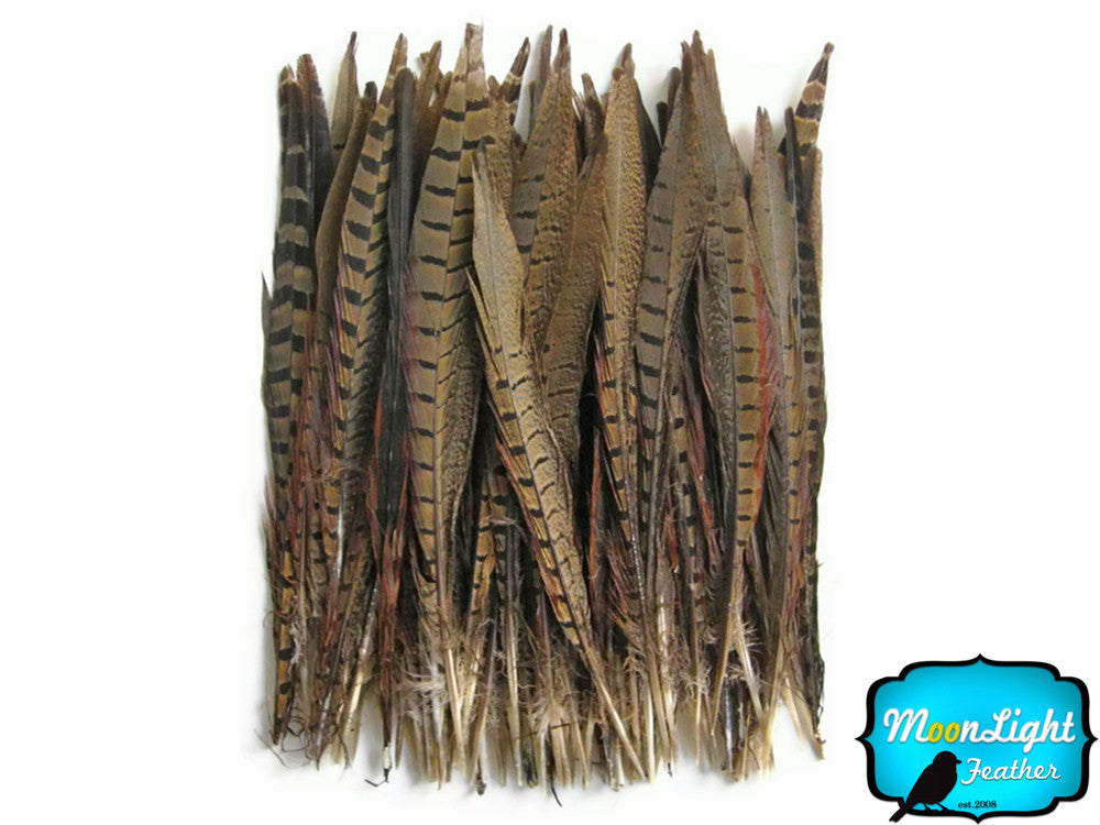 10 Pieces - 14-16" Natural Long Ringneck Pheasant Tail Feathers