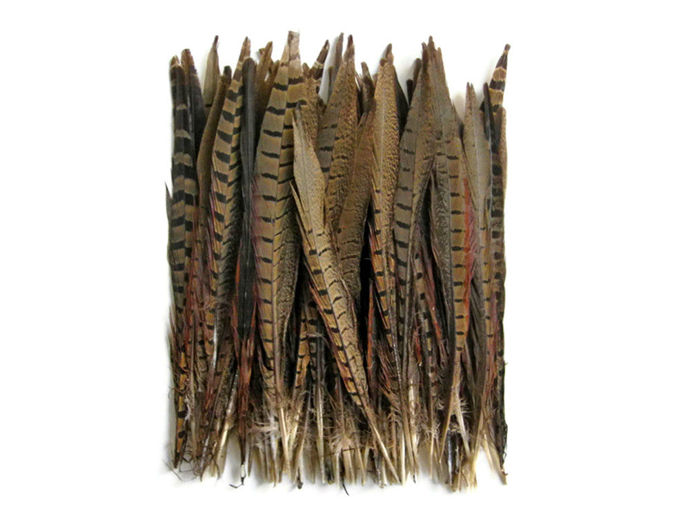 10 Pieces - 10-12" Natural Brown Ringneck Pheasant Tail Feathers