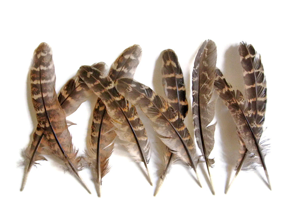 1 Pack - 4-6" Natural Ringneck Pheasant Wing Round Quills Feather 0.2 oz.