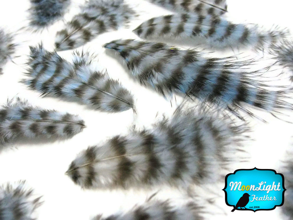 1 Dozen - Sky Blue Grizzly Mini Rooster Chickabou Fluff Whiting Hair Feathers