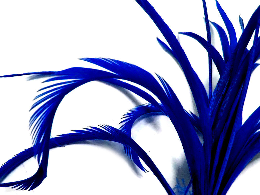 1 Yard - Royal Blue Goose Biots Stripped Wing Wholesale Feather Trim