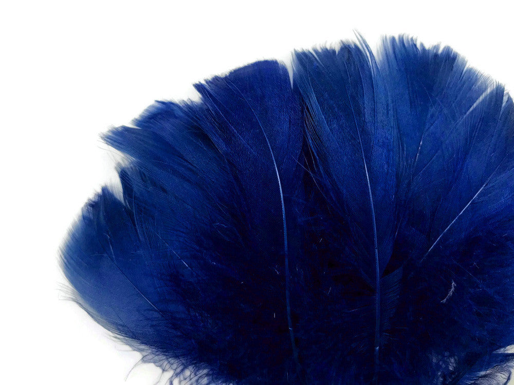 1/4 Lb - 2-3" Royal Blue Goose Coquille Loose Wholesale Feathers (Bulk)