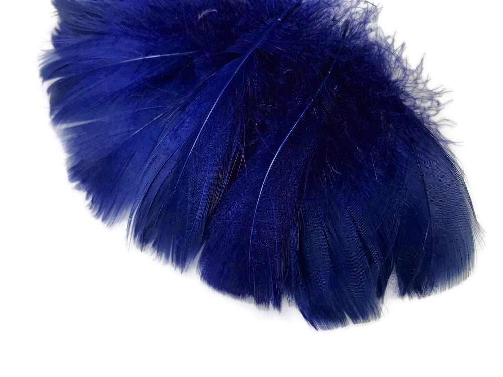 1 Pack - 2-3" Royal Blue Goose Coquille Loose Feathers - 0.35 Oz.